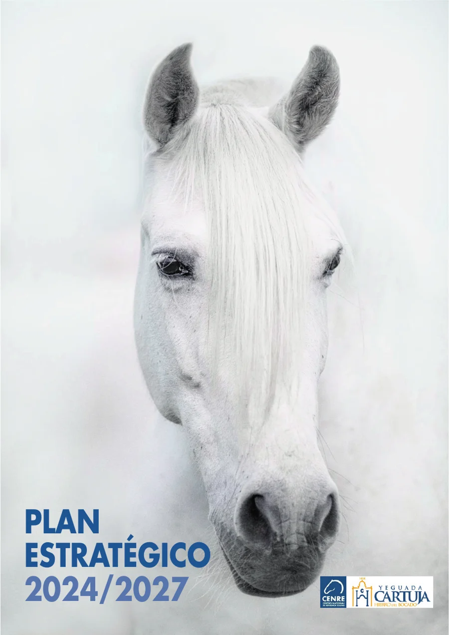 Cover of the 2024-2027 Strategic Plan