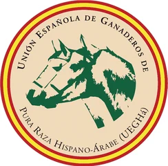UEGHA – Hispano-Arabian Horse