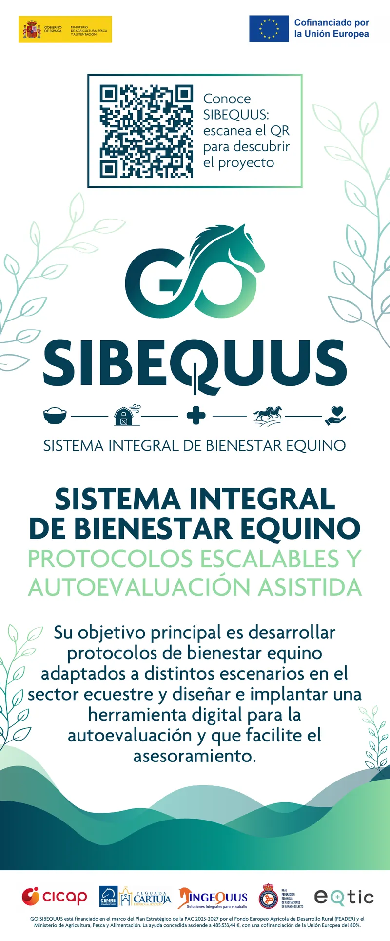 Roll-up del proyecto